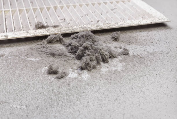 Best Emergency Air Duct Cleaning  in Waimanalo, HI