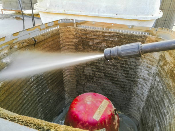 Best Air Duct Mold Removal  in Waimanalo, HI