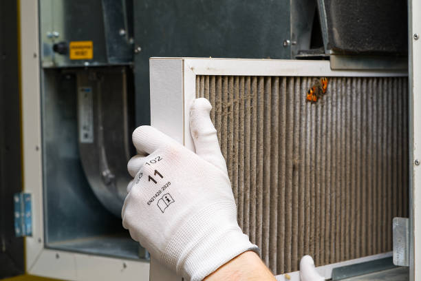 Best Local Air Duct Cleaning Services  in Waimanalo, HI