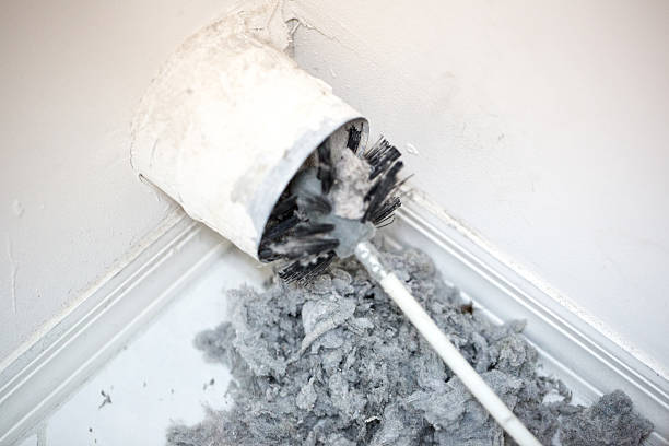 Best Dryer Vent Cleaning Services  in Waimanalo, HI